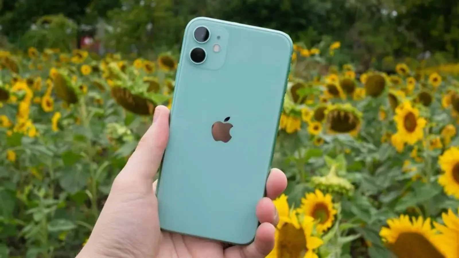 Hình ảnh cho danh mục Mẹo tắt màn hình iPhone nhanh chóng với tính năng gõ mặt lưng