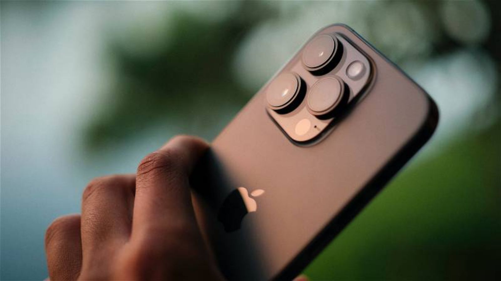 Hình ảnh cho danh mục Dùng iPhone xác định tên loài hoa bằng camera
