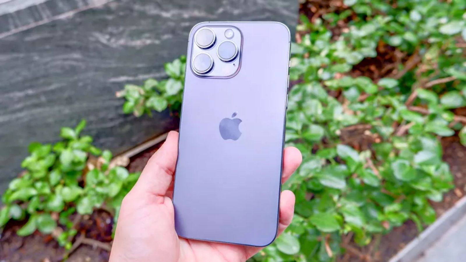 Hình ảnh cho danh mục Xử lý lỗi nút home iPhone bị liệt đơn giản nhất