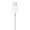Ảnh của Cáp Sạc Apple Watch Magnetic To USB Cable 1M 