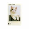 Ảnh của Film INSTAX Mini Photo Slide | 10 Tấm