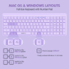 Ảnh của Bộ bàn phím chuột Micropack KM-268W 2.4G+Bluetooth Wirelesss Keyboard and Mouse Combo - Purple