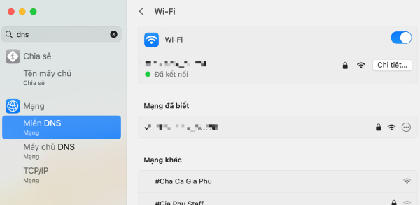 Bạn tiến hành tìm chọn DNS trên thanh tìm kiếm