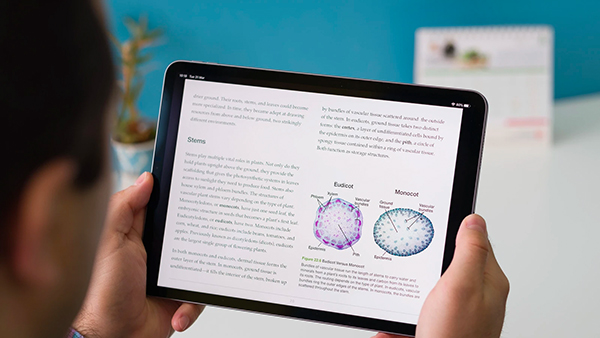 Lựa chọn iPad Pro M2 như thế nào thì hợp lý?