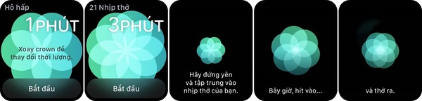 Bài tập hít thở trên Apple Watch