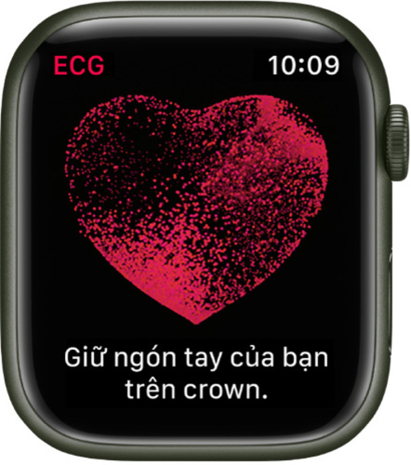 Đo ECG