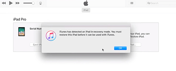 Mở khóa iPad dù không kết nối iCloud hay đồng bộ iTunes